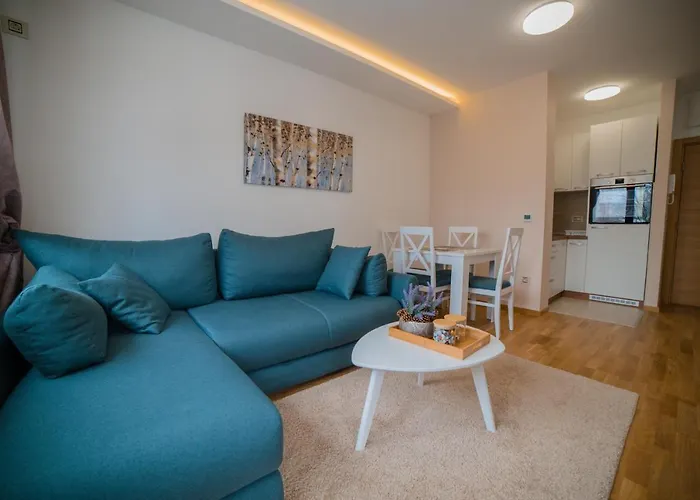 Aria Club Wellness&spa 住宿加早餐酒店 兹拉蒂博尔